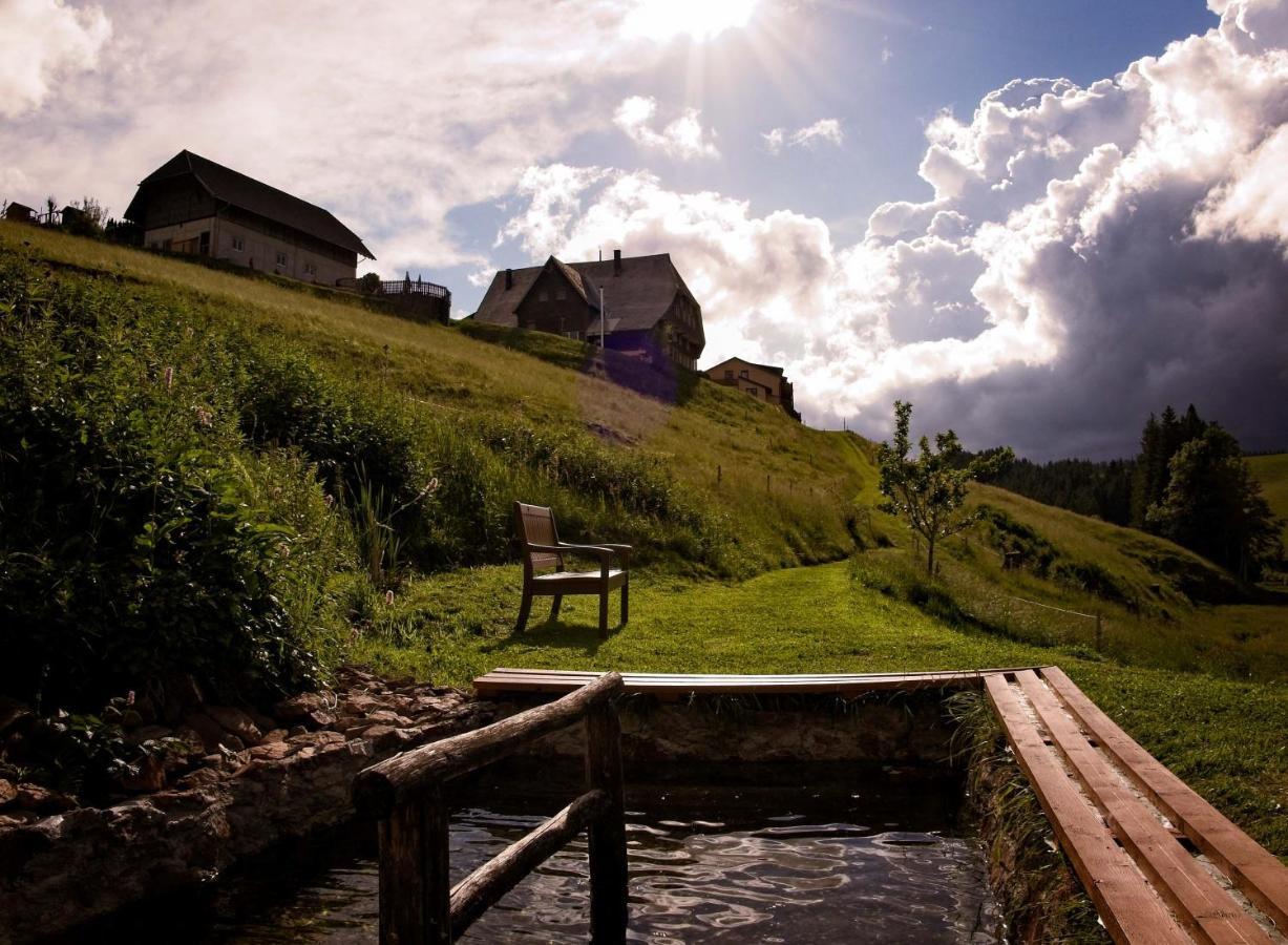 Hotel Thaelerhaeusle Furtwangen im Schwarzwald Zewnętrze zdjęcie