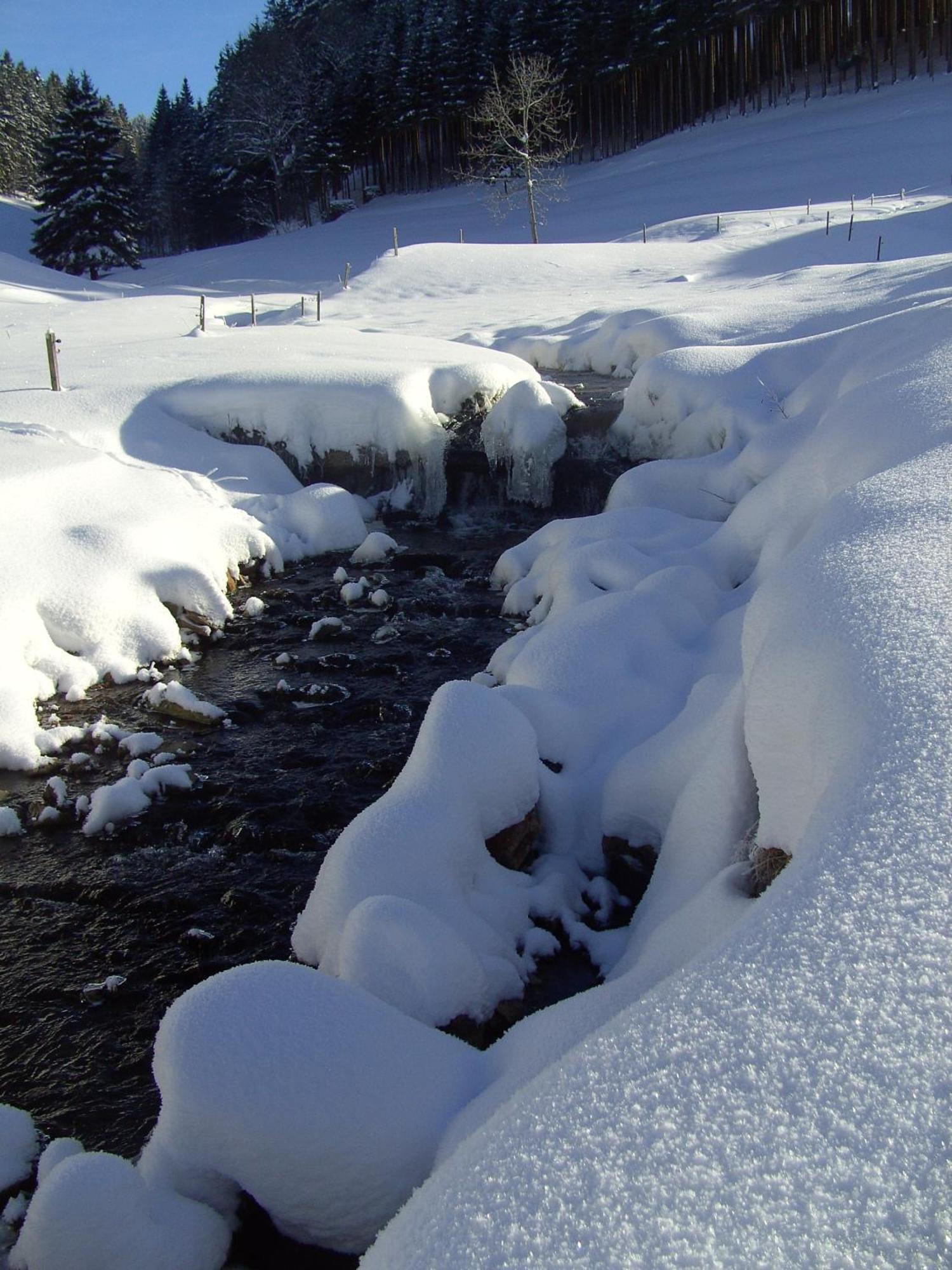 Hotel Thaelerhaeusle Furtwangen im Schwarzwald Zewnętrze zdjęcie