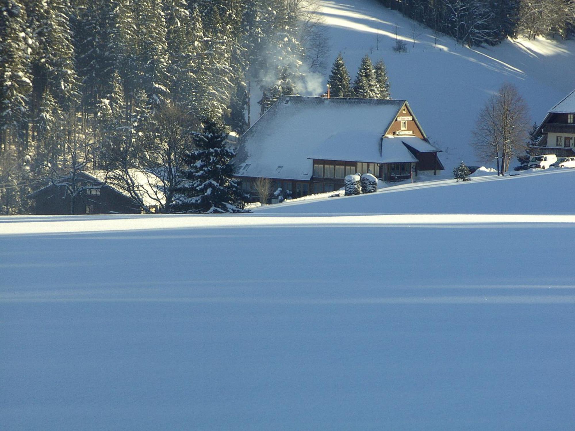 Hotel Thaelerhaeusle Furtwangen im Schwarzwald Zewnętrze zdjęcie
