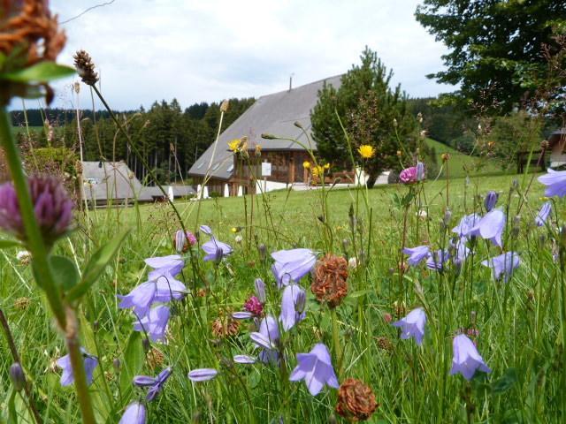 Hotel Thaelerhaeusle Furtwangen im Schwarzwald Zewnętrze zdjęcie